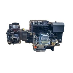 Motor pump AR303 30l/min...