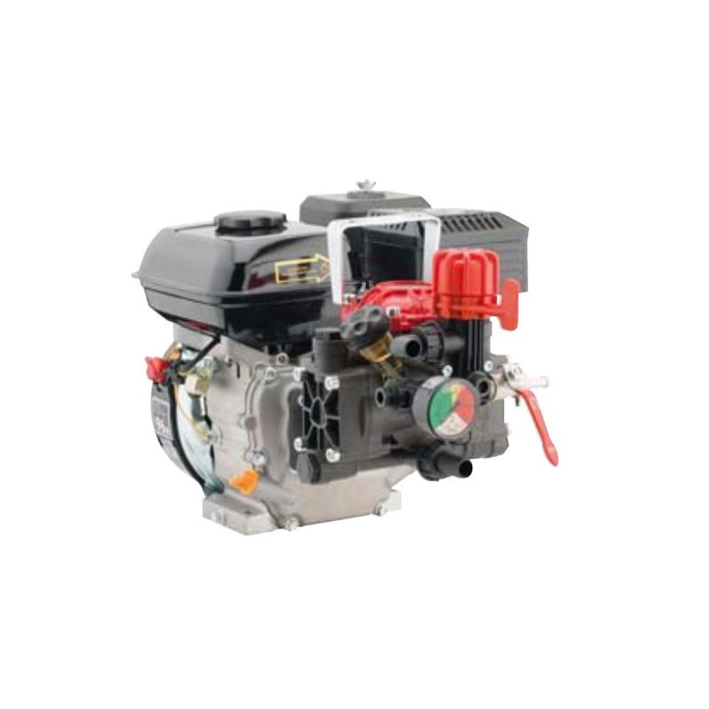 Motor pump AR252 25l/min ANNOVI & REVERBERI