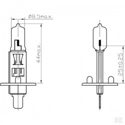 Halogen H1 bulb 24V - P14.5S